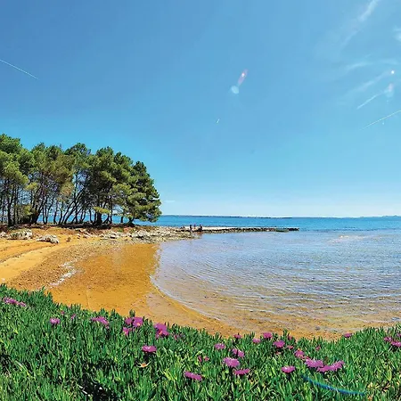 Apartman Lovely In With Wifi *