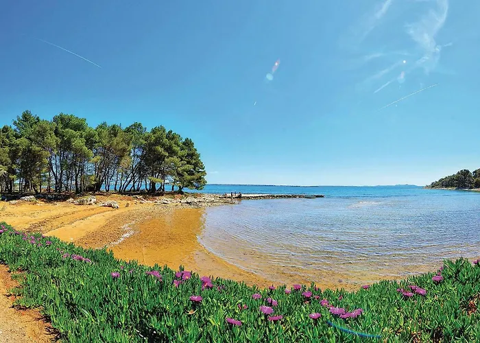 Apartamento Lovely In With Wifi *